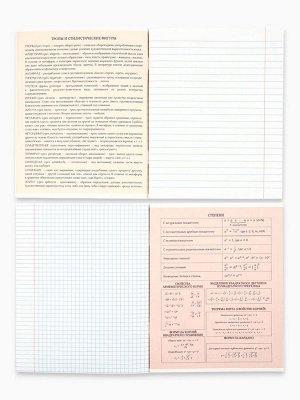 Тетради предметные, 48 л., набор из 10 шт., блок №1, ТВИН лак, уф лак «Абстракция»