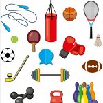 Спортивная инвентарь