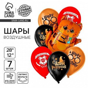 Воздушные шары, букет «С днём рождения. Котик-волшебник», набор 7 шт.