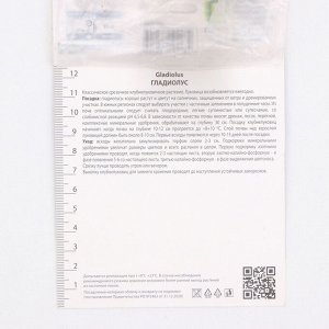Гладиолус крупноцветковый «Кум Сьюс», луковица цветов в пакете с перфорацией, р-р 10/12, 3 шт.