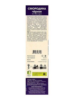 Смородина черная «Нара», традиционные сорта, саженец, плодовый, 1 шт., туба