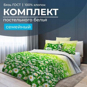 Комплект постельного белья Семейный, бязь ГОСТ (Ромашковое поле)
