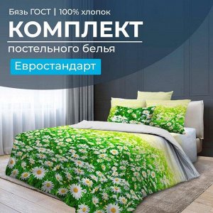 Комплект постельного белья Евростандарт, бязь ГОСТ (Ромашковое поле)