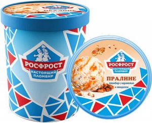 Ведро ПРАЛИНЕ Настоящий пломбир 450 гр. (1/4)