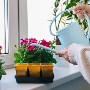 Лейка с длинным носиком, 1.2 л, без рассеивателя, голубая, Greengo