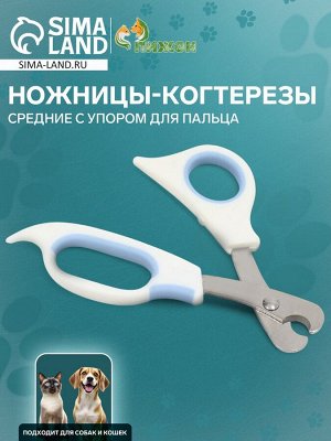 Ножницы-когтерезы средние с упором для пальца, 12 х 4,5 х 1,4 см, эконом, микс цветов