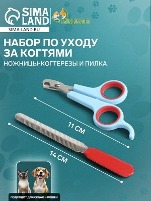 Набор по уходу за когтями: ножницы-когтерезы (отверстие 6 мм) и пилка, сине-красный