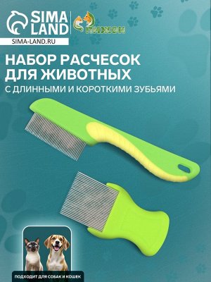 Пижон Набор расчесок для животных, с длинными и короткими зубьями, зелёный