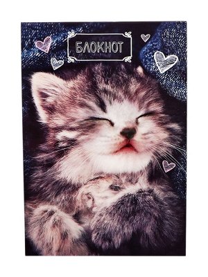 Блокнот А6, 24 листа в клетку на скрепке «Котята», обложка мелованный картон, МИКС