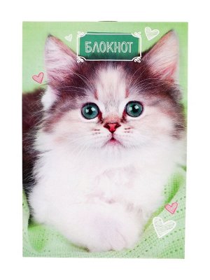 Блокнот А6, 24 листа в клетку на скрепке «Котята», обложка мелованный картон, МИКС