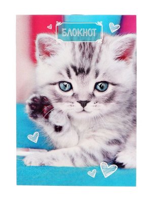 Блокнот А6, 24 листа в клетку на скрепке «Котята», обложка мелованный картон, МИКС