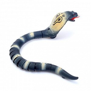 Змея радиоуправляемая «Королевская кобра», работает от аккумулятора, МИКС
