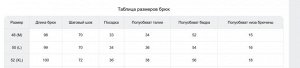 Спортивный костюм мужской демисезонный на флисе серого цвета