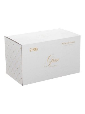 Чайный сервиз WY Grace, 20 предметов, чайник 1000 мл, 6 кружек 250 мл, 6 блюдец d=15.5 см, 6 тарелок пирожковых d=20.5 см, фарфор
