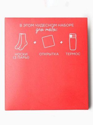 Новогодний подарочный набор термос и носки 3 пары KAFTAN "Лапки", размер 36-39