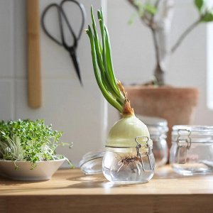 KORKEN, Банка с крышкой из прозрачного стекла, 0,5 л