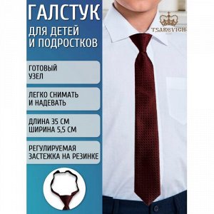 Галстук детский унисекс цвет Бордовый (Tsarevich)
