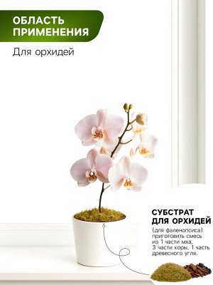 Мох сфагнум для террариумов &quot;Рецепты дедушки Никиты&quot; 2 л