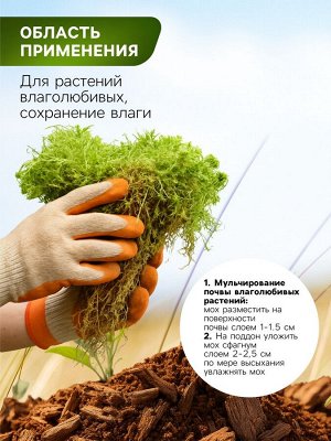 Мох сфагнум для террариумов "Рецепты дедушки Никиты" 1 л