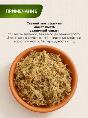 Мох сфагнум для террариумов "Рецепты дедушки Никиты" 1 л