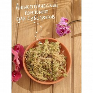 Мох сфагнум "Рецепты Дедушки Никиты" 10 л.