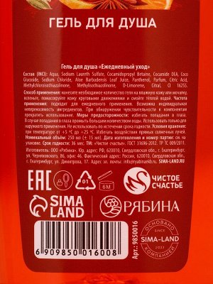 Подарочный набор «Аромат Нового Года»: гель для душа и пена для ванны, 2x250 мл, Чистое счастье