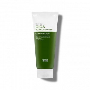 Пенка для умывания с экстрактом центеллы азиатской - TENZERO BLEMISH CICA FOAM CLEANSER