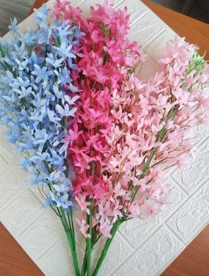 Ветка сакуры