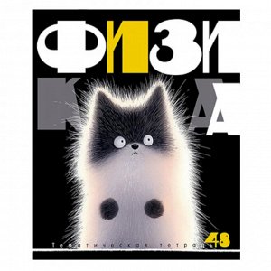 Тетрадь предметная 48л. КТС-Про "Заряженные пушистики" Физика, ВД-лак