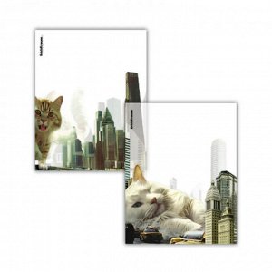 Обложка 212 х 347 мм для тетради и дневника, ПП, 80 мкм, ErichKrause Big City Cats, без ш/кода