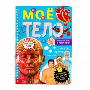 Книга-энциклопедия "Тело человека", твердый переплет, прозрачные страницы, размер 24х17 см, 32 стр.