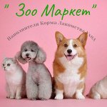 Товары для домашних животных