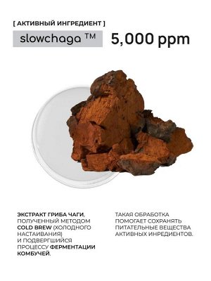 Солнцезащитный стик с экстрактом гриба чаги