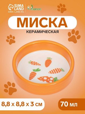 Миска керамическая "Морковочки" 70 мл - 8,8 х 8,8 х 3 см, оранжевая/белая