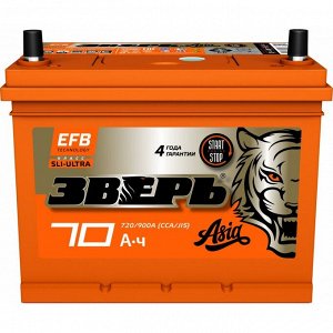 Аккумулятор Зверь ASIA EFB Q-85/85D23L (6СТ- 80VL / 70-3-R), 80Ач, ССА 720А, необслуживаемый, технология EFB