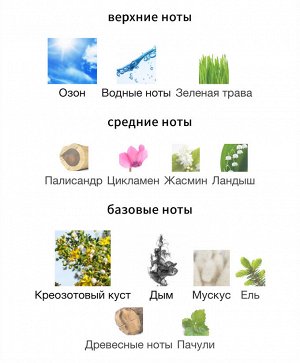 Мужские духи Terra Incognita Siberia Brocard 100 мл