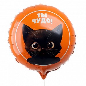 Воздушный шар фольгированный 18" "Котик. Ты чудо", круг, набор 5 шт.