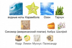 Мужские духи Encoder Brocard 100 мл