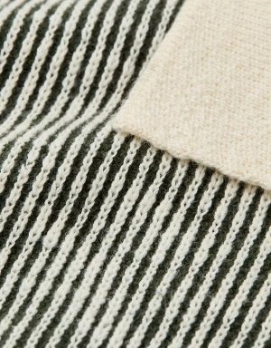 AE Weekend Striped Button-Up Sweater Polo Shirt