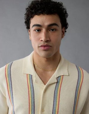 AE Pride Weekend Striped Button-Up Sweater Polo Shirt