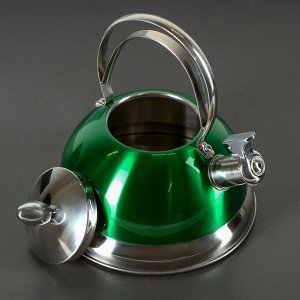 Чайник со свистком «Гросс», объём 3 л, капсулированное дно, индукция, цвет МИКС