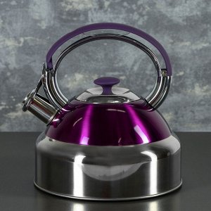 Чайник со свистком «Бекит», объём 3 л, капсулированное дно, индукция, цвет МИКС