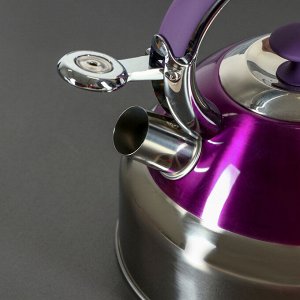 Чайник со свистком «Бекит», объём 3 л, капсулированное дно, индукция, цвет МИКС
