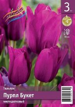 Тюльпан Пурпл Букет