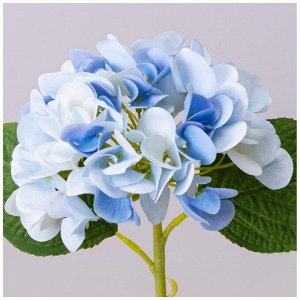 Голубая гортензия, высота 32 см, 1 шт.