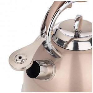 Чайник AGNESS Premium Champagne 3л со свистком и индукционным термоаккумулирующим дном, 1 шт.