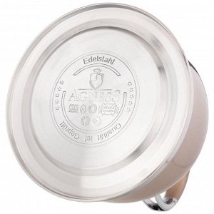 Чайник AGNESS Premium Champagne 3л со свистком и индукционным термоаккумулирующим дном, 1 шт.