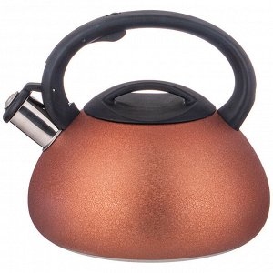 Чайник AGNESS Premium Steel 3 л со свистком и ненагревающейся ручкой для всех типов плит, 1 шт.