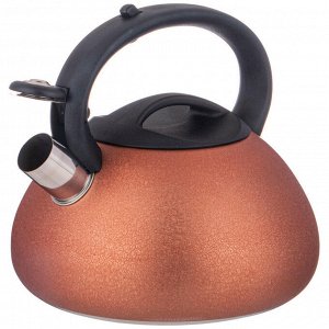 Чайник AGNESS Premium Steel 3 л со свистком и ненагревающейся ручкой для всех типов плит, 1 шт.