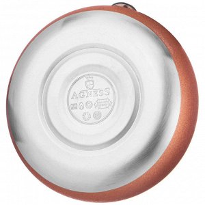 Чайник AGNESS Premium Steel 3 л со свистком и ненагревающейся ручкой для всех типов плит, 1 шт.